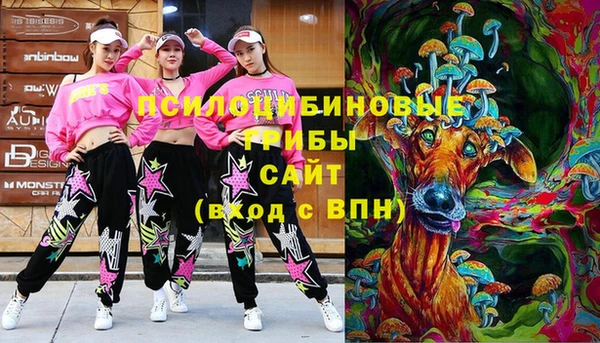 крисы Алексеевка
