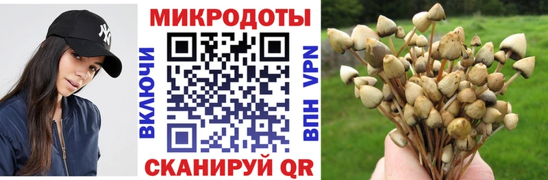 МЕГА ссылки  Агрыз  Галлюциногенные грибы GOLDEN TEACHER 